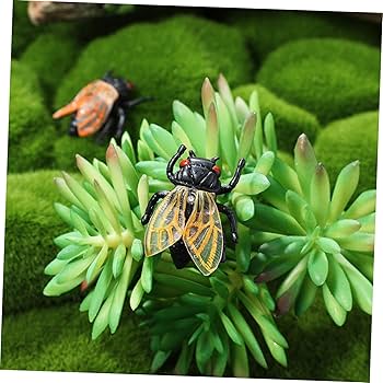 ★新品未使用品‼️オータニ昆虫館SEMI ・セミ★入手難※希少★ ☆新品未使用品‼️オータニ昆虫館SEMI ・セミ☆入手難※希少